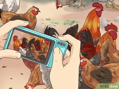 Image titled Rehome Your Chickens Step 6