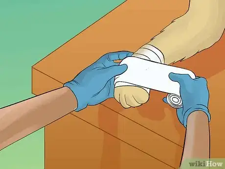 Image titled Wrap a Dog Paw Step 8