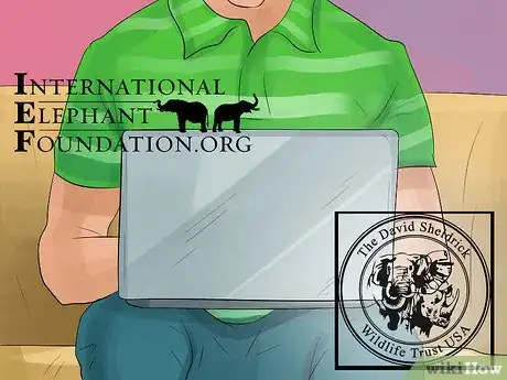 Image titled Help Save Elephants Step 1