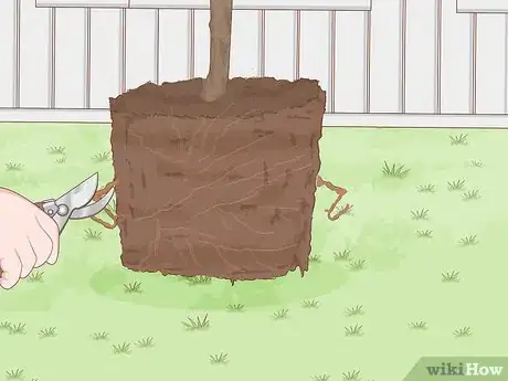 Image titled Plant a Shrub Step 19