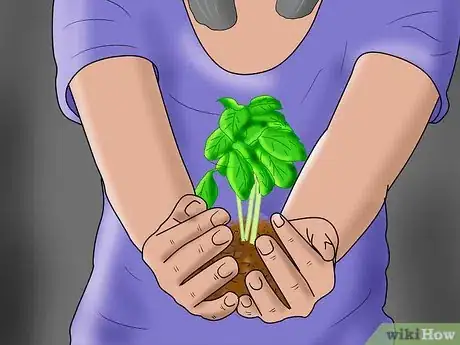 Image titled Start a Homemade Hydroponic Garden Step 8