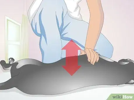 Image titled Perform CPR on a Dog Step 2