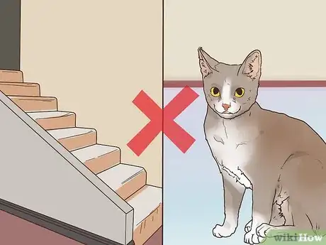 Image titled Exercise Pet Mice Step 8