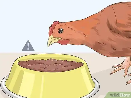 Image titled Feed Chickens Table Scraps Step 1