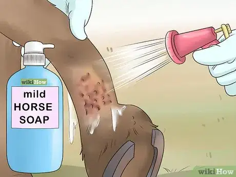 Image titled Treat Grease Heel in Horses Step 2