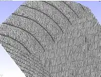 Higher magnification.